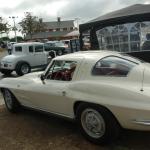 DR_Crusin4Cure_0079 (September 28, 2019)